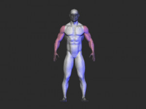 base mesh 1 3D Модель