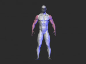 base mesh 1 3D Model