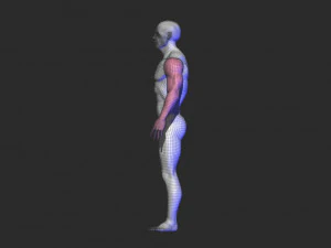 base mesh 1 3D Model