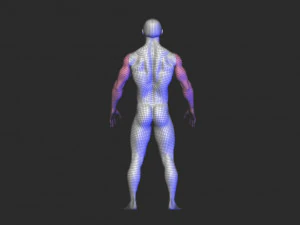 base mesh 1 3D Model