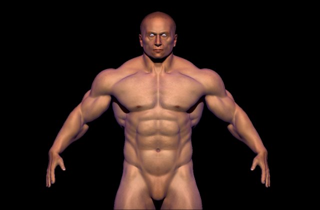 base mesh bodybuilder Modelo 3D .c4d .max .obj .3ds .fbx .stl .blend 