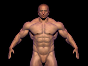 base mesh bodybuilder 3D मॉडल