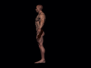 base mesh bodybuilder Modelo 3D
