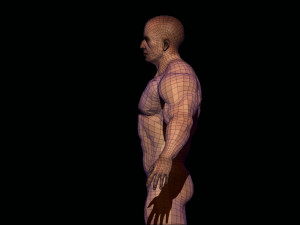 base mesh bodybuilder Modelo 3D
