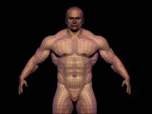 Basis-Mesh-Bodybuilder 3D Modell