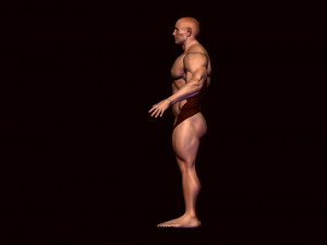 base mesh body builder 2 3D Model