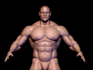 base mesh body builder 2 3D Model