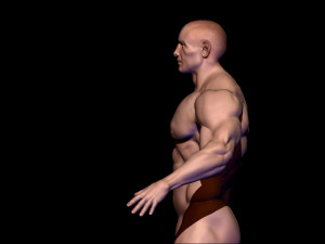 base mesh body builder 2 3D Model