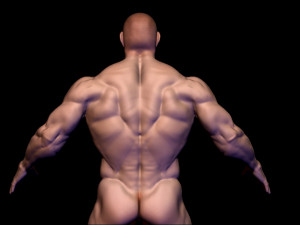 base mesh body builder 2 3D Model