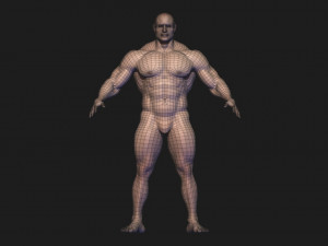base mesh body builder 2 3D Model