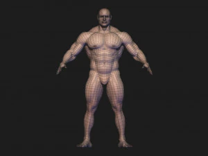 base mesh body builder 2 3D Model