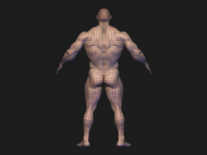 base mesh body builder 2 3D Model