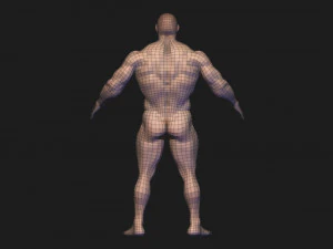 base mesh body builder 2 3D Model