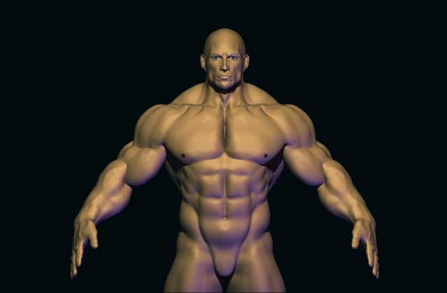 Bodybuilder base mesh 3D मॉडल .c4d .max .obj .3ds .fbx .stl .blend 