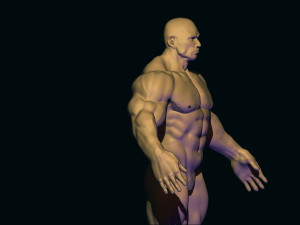 Bodybuilder base mesh 3D मॉडल