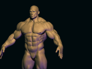 Bodybuilder base mesh 3D मॉडल