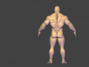Bodybuilder base mesh 3D मॉडल