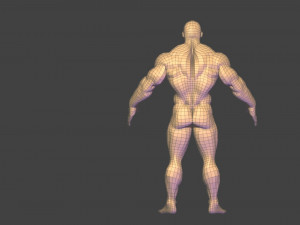 Bodybuilder base mesh 3D मॉडल