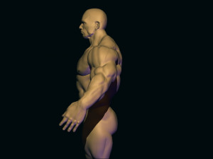 Bodybuilder base mesh 3D मॉडल