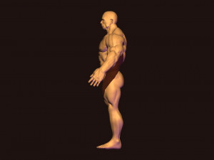 Bodybuilder base mesh 3D मॉडल