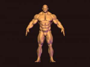 Bodybuilder base mesh 3D मॉडल