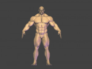 Bodybuilder base mesh 3D मॉडल