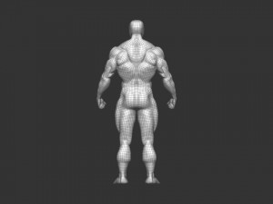Bodybuilder base mesh 2 3D मॉडल