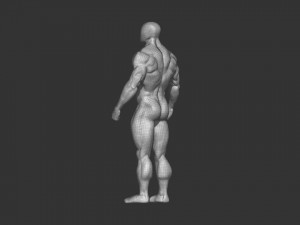 Bodybuilder base mesh 2 3D मॉडल