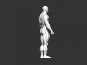Bodybuilder base mesh 2 3D मॉडल