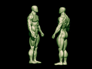 Bodybuilder base mesh 2 3D मॉडल