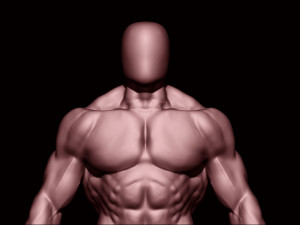 Bodybuilder base mesh 2 3D मॉडल