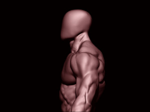 Bodybuilder base mesh 2 3D मॉडल