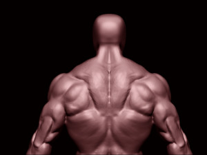 Bodybuilder base mesh 2 3D मॉडल
