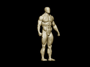 Bodybuilder base mesh 2 3D मॉडल
