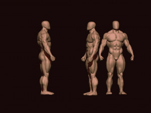 Bodybuilder base mesh 2 3D मॉडल