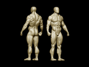 Bodybuilder base mesh 2 3D मॉडल