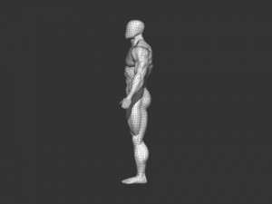 Bodybuilder base mesh 2 3D मॉडल