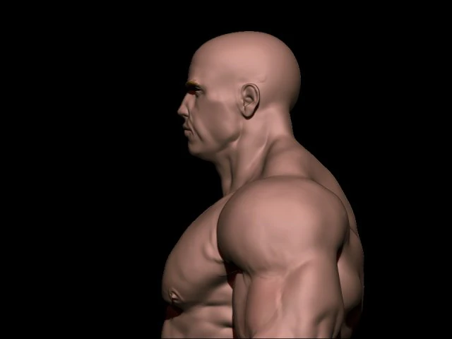 Bodybuilder base mesh warriors 3D Model .c4d .max .obj .3ds .fbx .stl .blend 