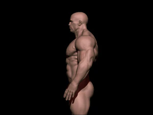 Bodybuilder base mesh warriors 3D Model