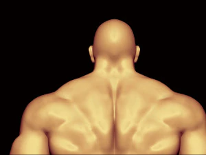Bodybuilder base mesh warriors 3D Model