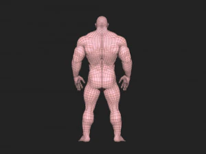 Bodybuilder base mesh warriors 3D Model