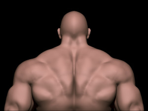 Bodybuilder base mesh warriors 3D 모델
