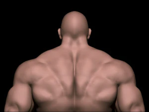 Bodybuilder base mesh warriors 3D Model