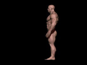 Bodybuilder base mesh warriors 3D Model