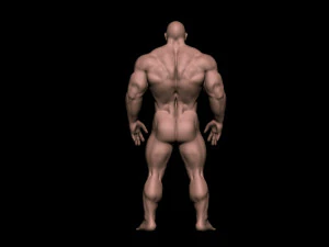 Bodybuilder base mesh warriors 3D Model