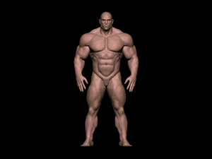 Bodybuilder base mesh warriors 3D Model