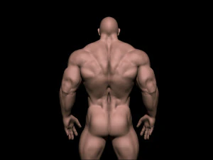 Bodybuilder base mesh warriors 3D Model