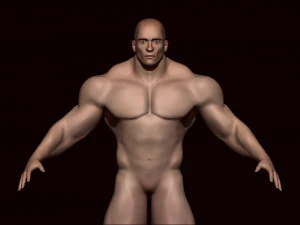 Malha base macho Modelo 3D