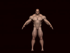 Base mesh male Modèle 3D