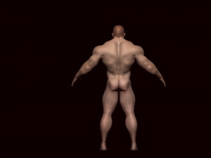 Base mesh male Modèle 3D